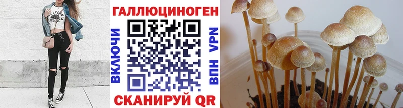Галлюциногенные грибы Magic Shrooms маркетплейс наркотические препараты Духовщина хочу